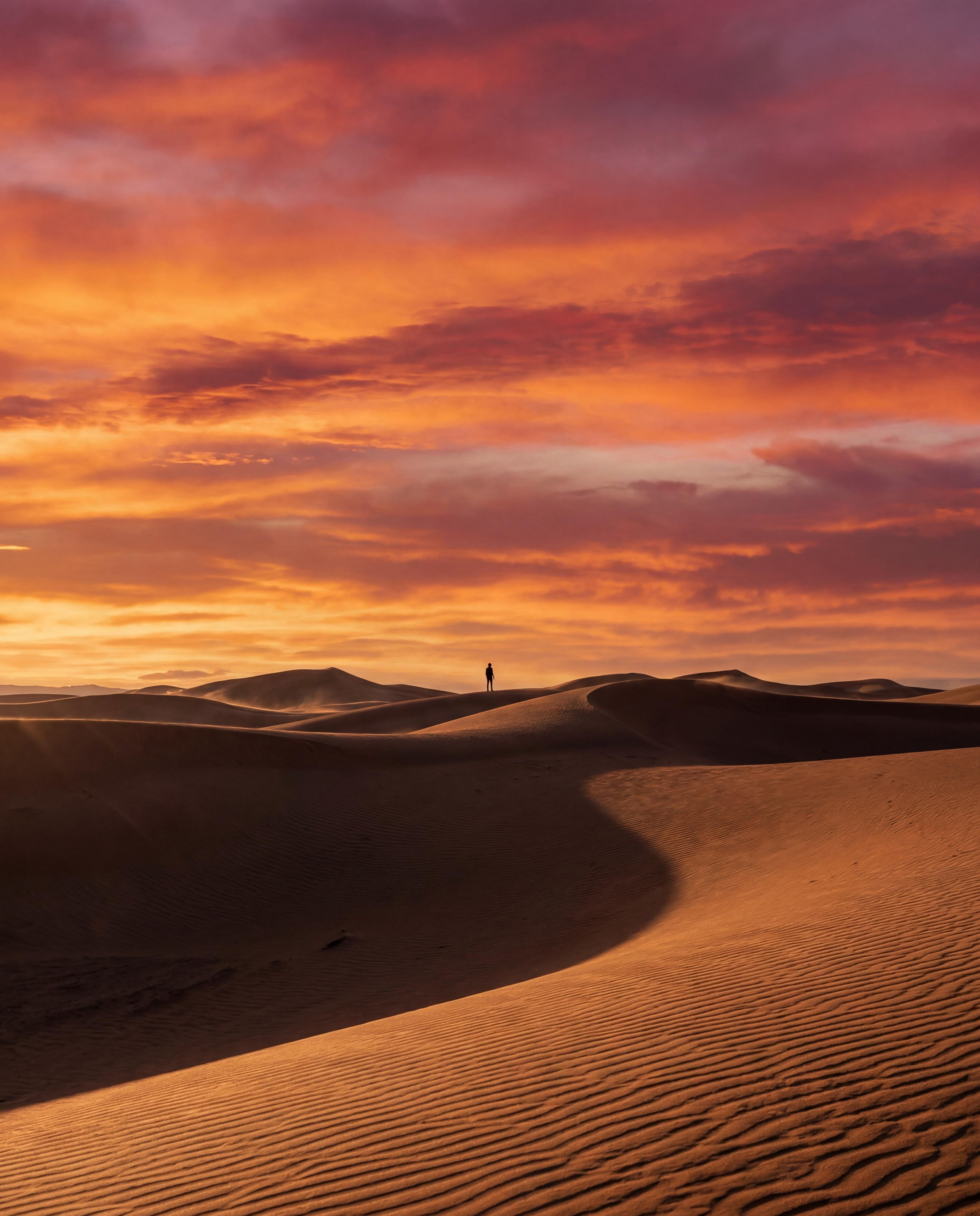 Desert Sunset